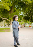 Zink Grey Waistcoat Suit-AHW-001
