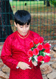 Spicy Red Kurta KT 112