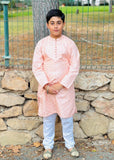 Pale Pink Kurta KT 126