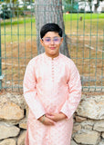 Pale Pink Kurta KT 126