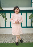 Pale Pink Kurta Trouser AH 085