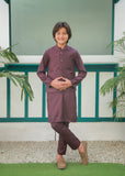 Plum Waistcoat Suit Ahw-046