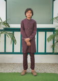 Plum Waistcoat Suit Ahw-046