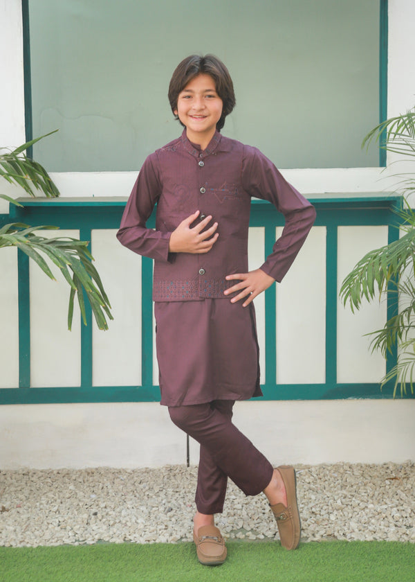 Plum Waistcoat Suit Ahw-046