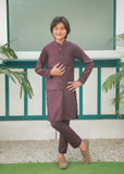 Plum Waistcoat Suit Ahw-046