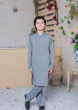 Greenish Grey Prince Coat Suit AP 012
