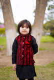 Red Velvet Waistcoat Suit EW 48