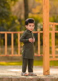 Olive Green Shirt Collar - KT 60