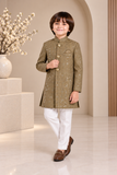 Olive Gold Sequence Sherwani - S102