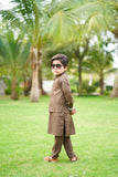 Tortilla Brown Waistcoat Suit - EW25