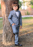 5pcs Grey suit (Coat+Pant+waistcoat+Shirt+Bow) - CPS 005