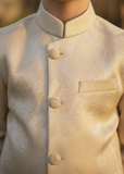 Gold Sherwani S39