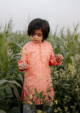 Pastel Pink Kurta KT 125