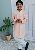 Pale Pink Kurta KT 126