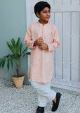 Pale Pink Kurta KT 126