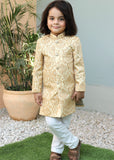 Cream Goldenrod Sherwani S30