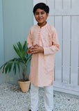 Pale Pink Kurta KT 126